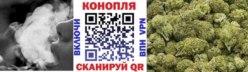 Бошки марихуана семена  hydra как зайти  Вихоревка 